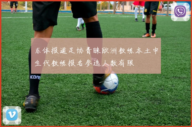 东体报道足协青睐欧洲教练本土中生代教练报名参选人数有限