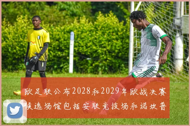 欧足联公布2028和2029年欧战决赛候选场馆包括安联竞技场和诺坎普