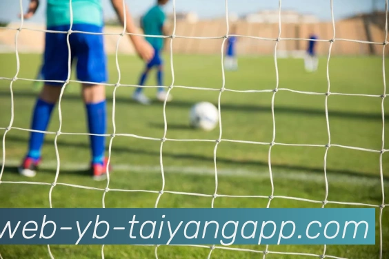 太阳城平台生态图